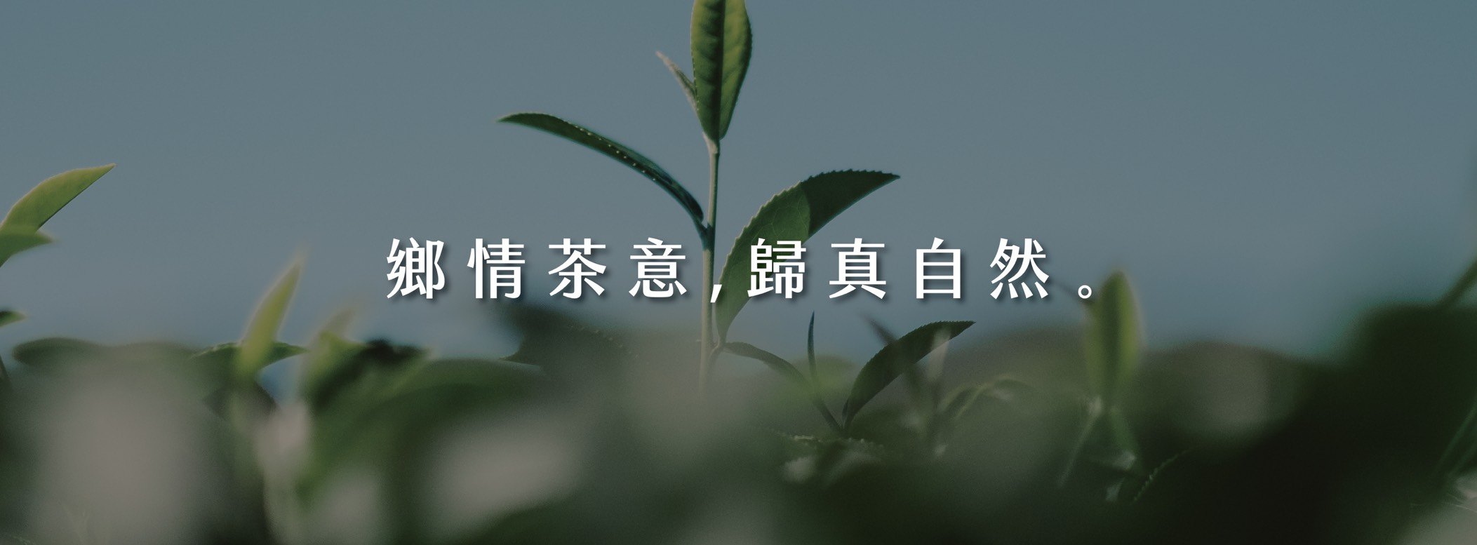 藝峰行 — 鄉情茶意，歸真自然